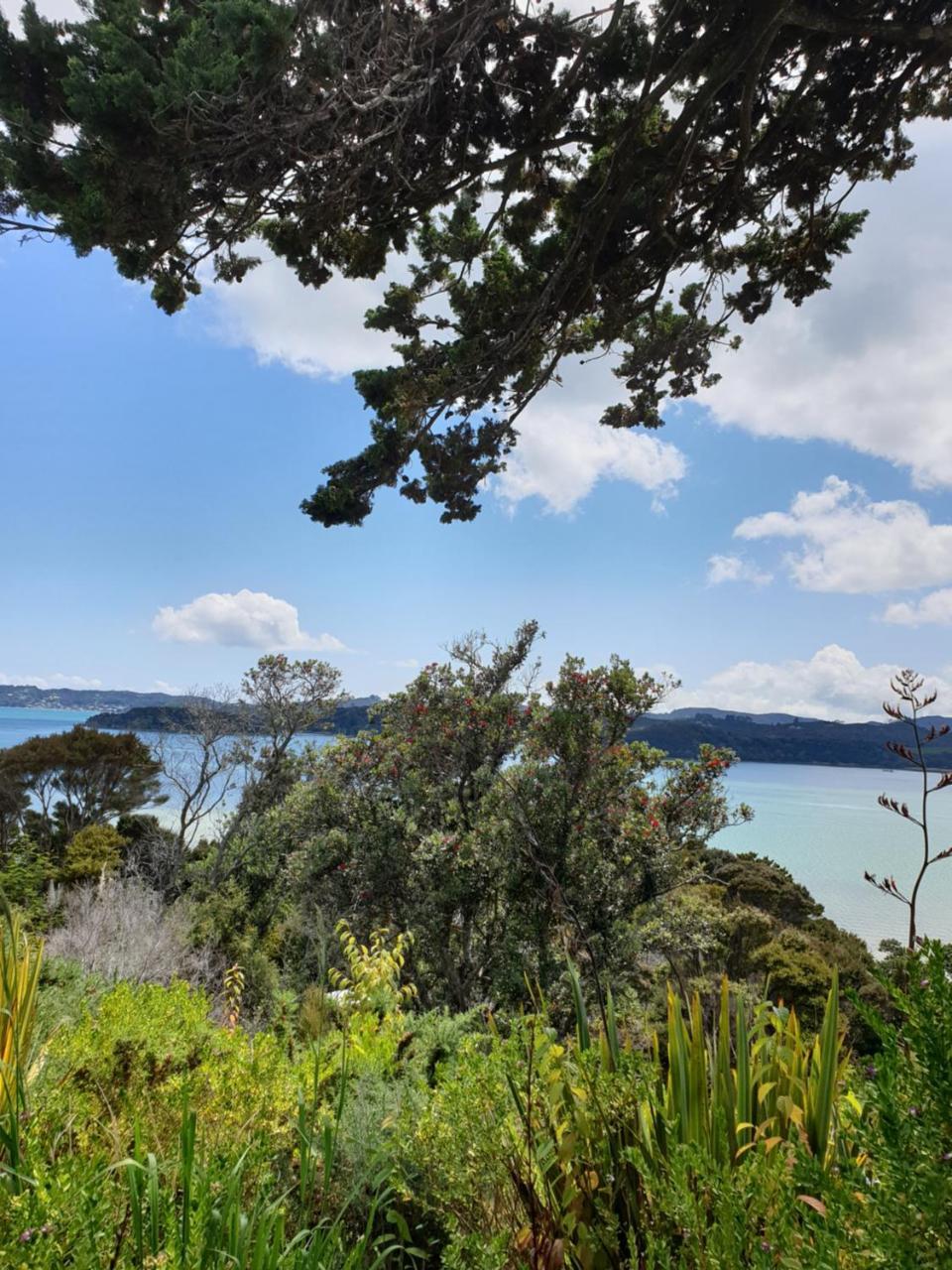 The Retreat Holiday House Paihia Exterior foto